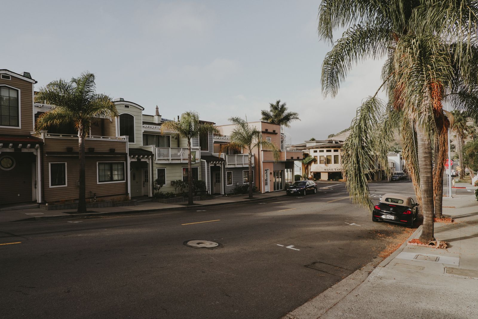 Residential street lined with palm trees