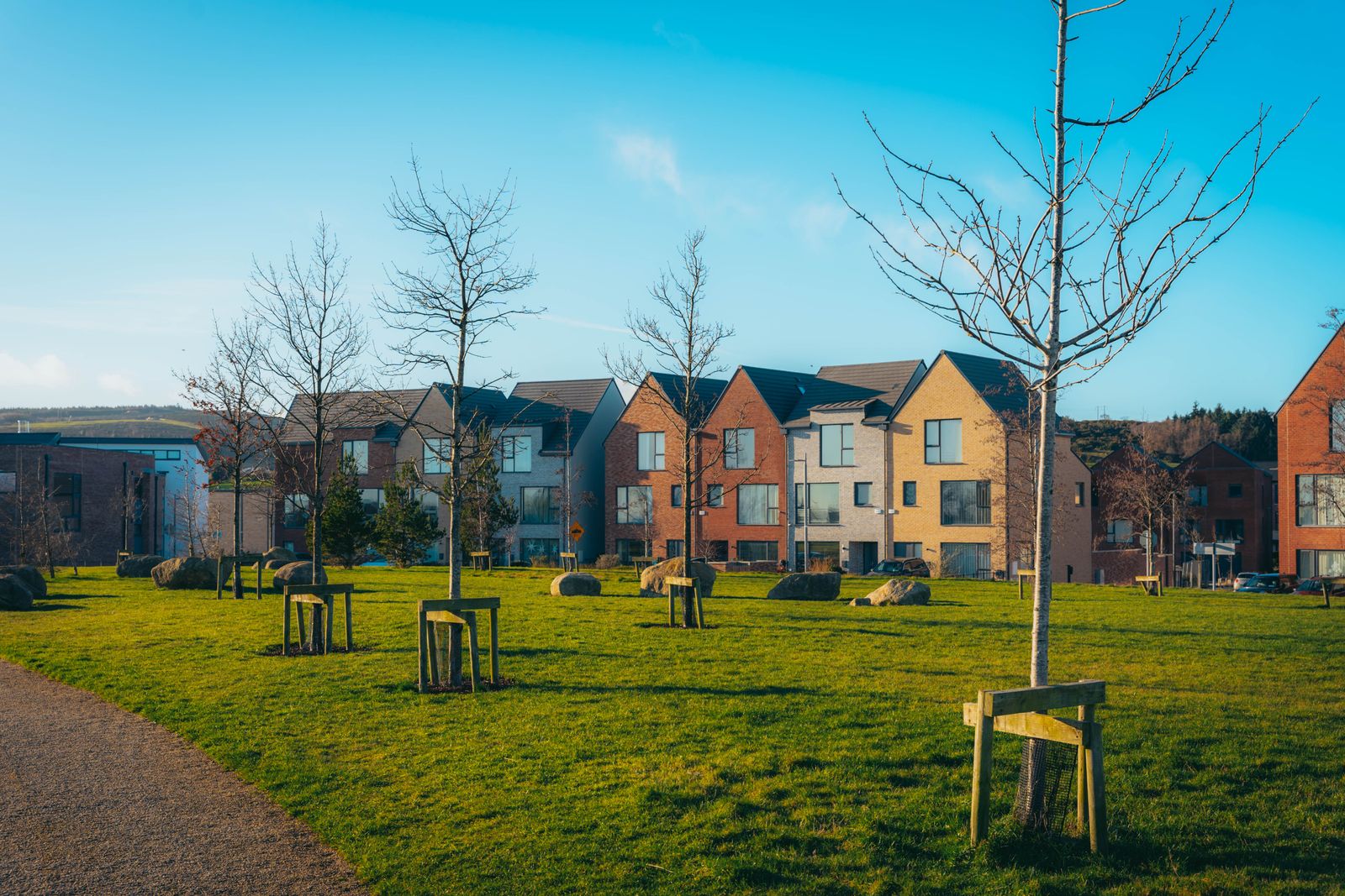 Clean residential street and lawns after debris removal
